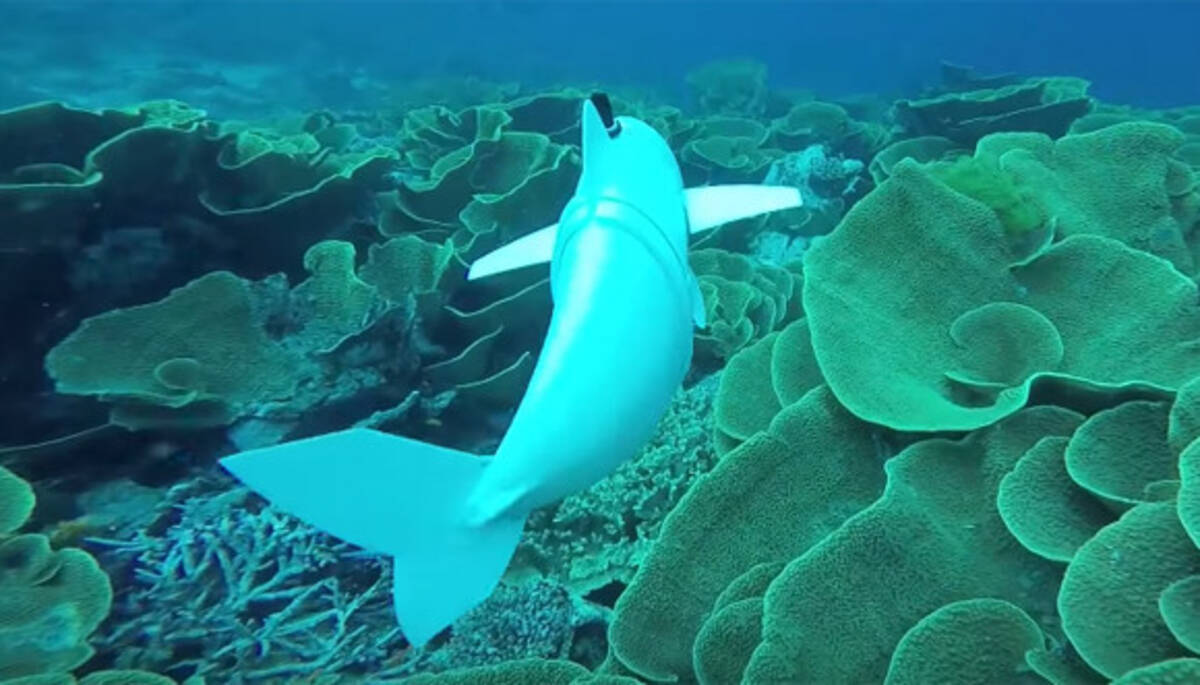 魚そっくりにスイスイ泳ぐ 水中の食物連鎖に巻き込まれるかも 海中を泳ぐフィッシュロボ Sofi 18年4月12日 エキサイトニュース