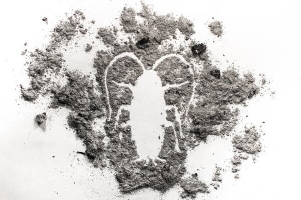 年間60億匹ものゴキブリをaiを使って繁殖させている中国の工場 その目的は 18年4月30日 エキサイトニュース