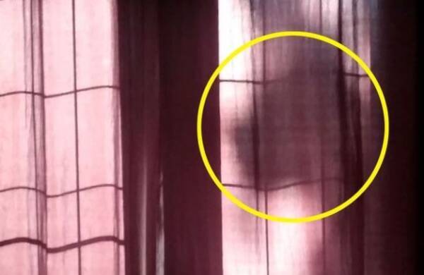 カーテンの後ろに犬の影が 最近亡くなった犬が幽霊となって見守ってくれていると信じる飼い主 カナダ 18年6月30日 エキサイトニュース