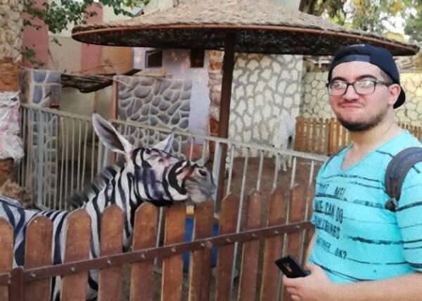 んぬ 微妙な違和感 エジプトの動物園がロバを白黒に塗ってシマウマとして展示していた件 18年7月26日 エキサイトニュース