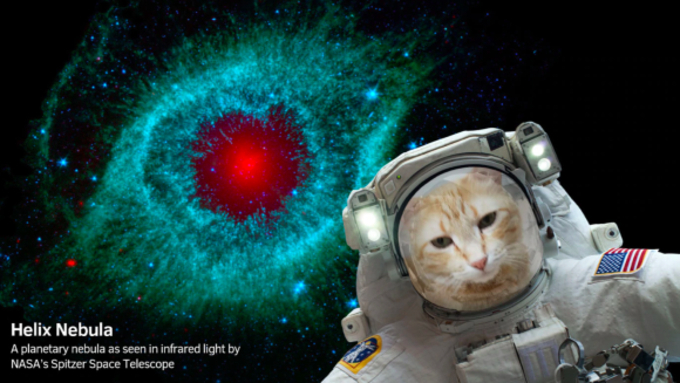 カップの底をのぞくと 宇宙 が見える Nasa公認マグカップ が超未来的でステキです 19年6月24日 エキサイトニュース