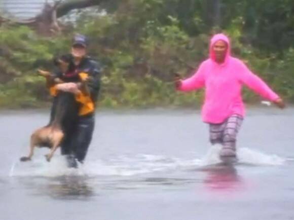 ハリケーン フローレンス の現場中継の最中 犬の救助活動を手伝ったレポーター アメリカ 18年9月18日 エキサイトニュース