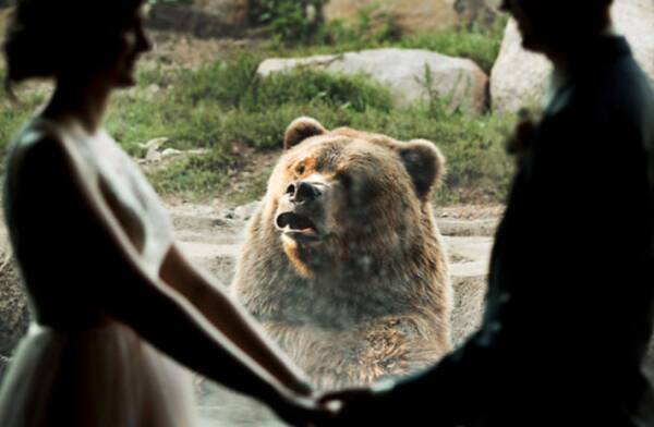 動物園で結婚式を挙げたカップル クマが積極的に参列 記念写真にぽか んと写り込む アメリカ 18年9月21日 エキサイトニュース