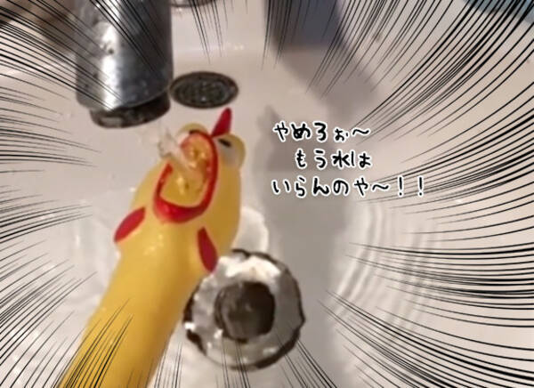 お腹を押すとものすごい声で鳴くおもちゃ びっくりチキン に水を飲ませると大変なことに 18年9月26日 エキサイトニュース