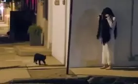 怖いくらい幸運が舞い込む 奇跡の画家 リンベン氏インタビュー 実力ではなく 描かされている画 の謎に迫る 18年10月25日 エキサイトニュース