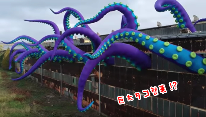 巨大タコは実在するのか 過去には 30メートルのタコが捕まったケースも 16年8月30日 エキサイトニュース