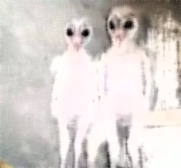 エイリアン発見 と話題になってしまった屋根裏にいたこの生き物の正体は インド 18年11月日 エキサイトニュース