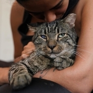 家中のサンダルがすべて食いちぎられていた 犯人は誰 と追及する飼い主に対する2匹の犬の反応 18年11月29日 エキサイトニュース