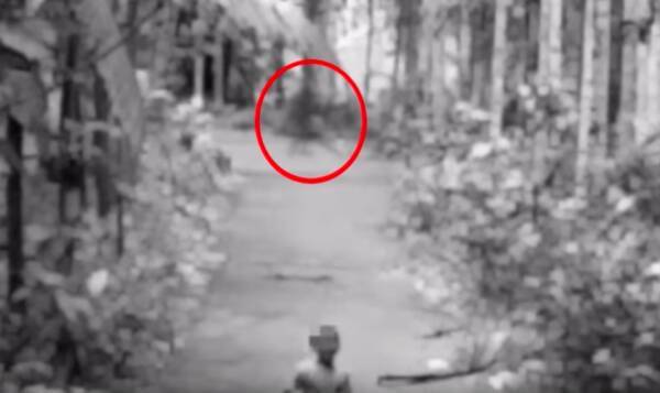これが都市伝説となった シャドーピープル なのか 少年が森の中で見たうすぼんやりな影の正体は 18年11月27日 エキサイトニュース