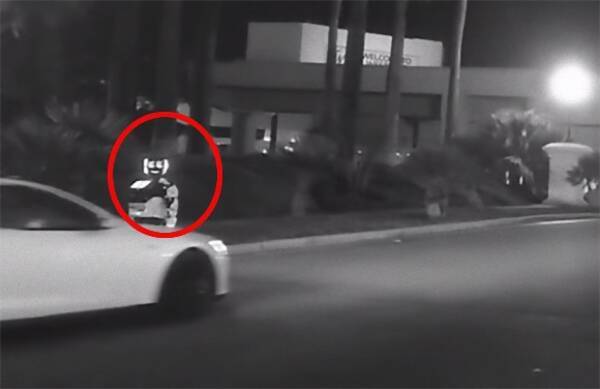 テスラ社の自動運転車がaiロボットをひき殺すという事案 アメリカ 19年1月9日 エキサイトニュース