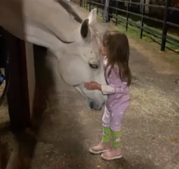 ホース ウィスパラー 馬にささやく者 白馬と心を通じ合わせることができる5歳の少女 アメリカ 19年2月14日 エキサイトニュース