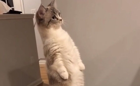 またしても靴を履いた状態で切断された人間の足が セイリッシュ海で15本目の足が発見される ミステリー事件簿 19年2月28日 エキサイトニュース またしても靴を履いた状態で切断された人間の足が セイリッシュ海で15本目の足が発見される ミステリー事件簿 19年2月28日 エキサイトニュース