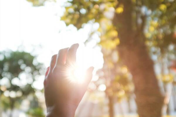 たった5分だけでいい 小さな公園でも良い 自然に身を置くことで気分が晴れる カナダ研究 19年3月18日 エキサイトニュース