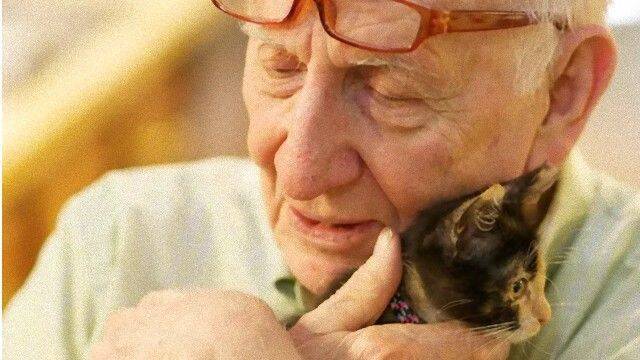 やさしい世界 子猫と出会ったおじいさんの写真に関する海外の反応 19年4月日 エキサイトニュース