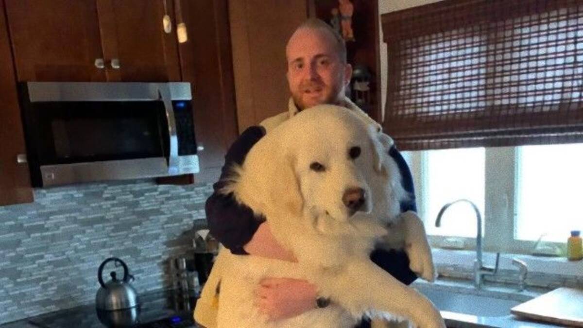 巨大なグレートピレニーズ犬の子犬を抱く飼い主の写真に関する海外の反応 19年4月24日 エキサイトニュース