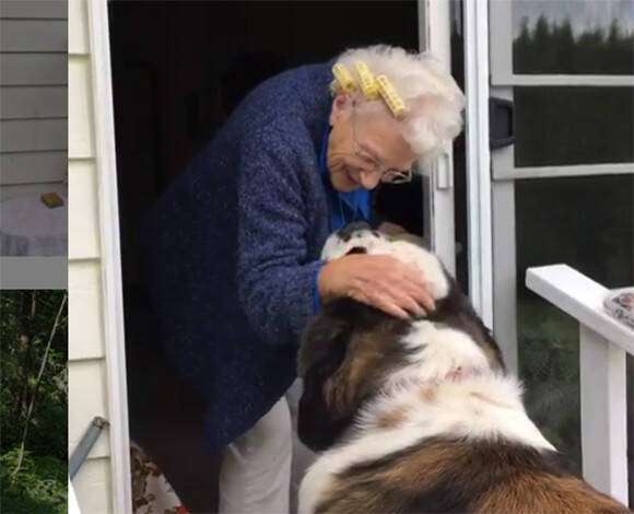 長年一人暮らしだったおばあさんの家の隣に越してきた大きな犬と小さな犬 そこから始まる友情物語 アメリカ 19年5月8日 エキサイトニュース