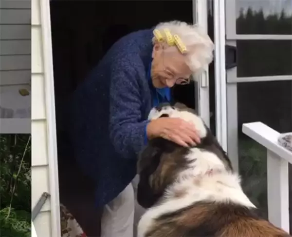 長年一人暮らしだったおばあさんの家の隣に越してきた大きな犬と小さな犬。そこから始まる友情物語（アメリカ）