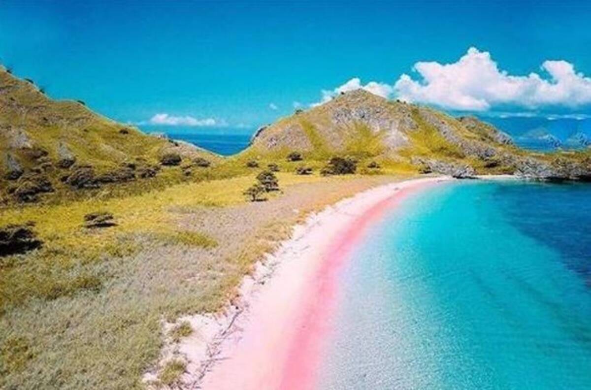 インスタ映えってレベルじゃないぞ コモド島のピンクビーチのピンクと青のグラデーションが超絶綺麗 インドネシア 19年5月26日 エキサイトニュース