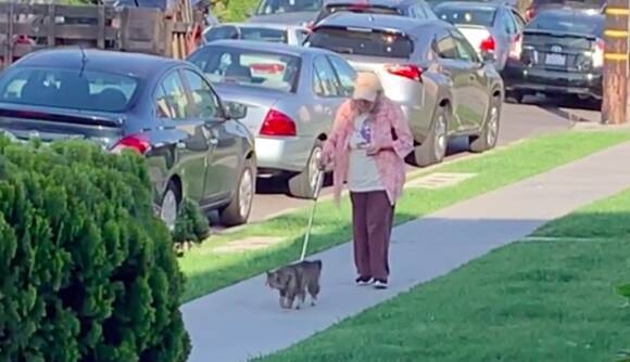 おばあさんの散歩の歩調に合わせて ゆっくりゆっくり寄り添いながら歩く猫 19年5月30日 エキサイトニュース