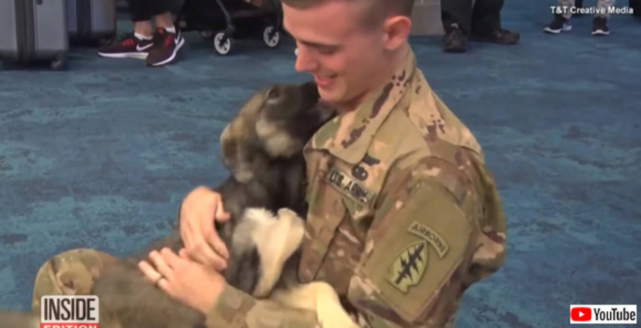 戦場の友は永遠の友となる シリアで共に過ごした犬を家族としてアメリカに迎え入れた帰還兵 その感動の再会 19年6月6日 エキサイトニュース