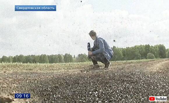 ザ フライ アポカリプス的終末の光景 ハエの大群が襲来したロシアの村 ハエ大量出演中 19年6月21日 エキサイトニュース