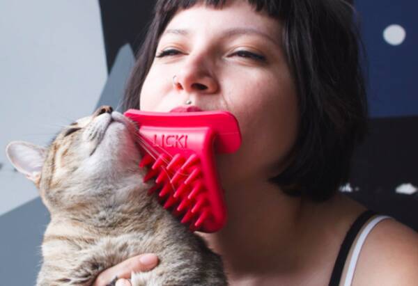 愛猫が好きすぎて舐めちゃいたい ならばこれだ グルーミングもできる猫舐め専用舌 リッキーブラシ 19年7月4日 エキサイトニュース