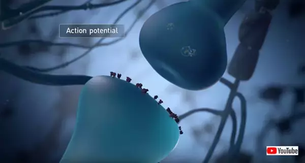 電脳化はこの後すぐ！？脳とコンピューターを直結する「Neuralink」を来年臨床試験予定（イーロンマスク）