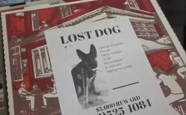 迷子の犬や猫を救え！アメリカのピザ屋がピザの箱に迷子ペットのチラシを貼って宅配するという試みが開始される