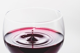 赤ワインに含まれる化合物がうつ病や不安神経症の新治療の扉を開く（中国研究）