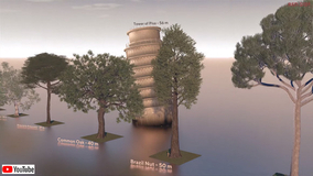 温暖化の影響で植物が長い眠りから目覚める イギリスで6000万年ぶりにソテツの雄花と雌花が開花 イギリス 19年8月30日 エキサイトニュース