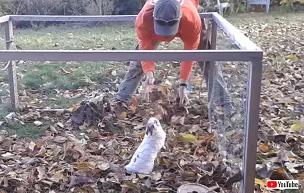 もっと投げて、キャッチするから！落ち葉遊びを楽しむウサギのかわいい仕草