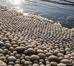 海が産んだ大量の卵？フィンランドの海岸を埋め尽くした氷球の珍百景、レアな自然現象
