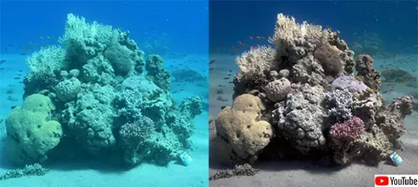 海中写真から青緑色を除去し、本当の色を再現するアルゴリズムを海洋学者が開発