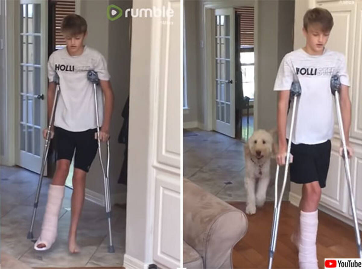 犬の共感力がすごい 松葉杖で歩く少年の後ろから同じように片足を引きずって歩く犬 19年11月26日 エキサイトニュース