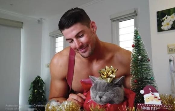 にゃんこハック 猫からクリスマスツリー守る簡単な方法 19年12月22日 エキサイトニュース