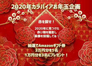 2020年の赤を探せ！赤いモノの画像を投稿してAmazonのギフト券を当てよう！【カラパイアお年玉企画】
