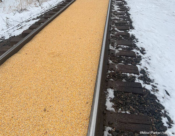 線路に黄色い道が その正体は貨物列車から零れ落ちたトウモロコシ アメリカ 年1月16日 エキサイトニュース