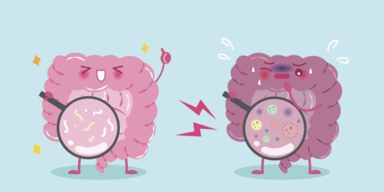 人付き合いが苦手 腸内細菌が乏しいのかもしれない 人の性格と腸内細菌の不思議な関係 英研究 年2月2日 エキサイトニュース 人付き合いが苦手 腸内細菌が乏しいのかもしれない 人の性格と腸内細菌の不思議な関係 英研究 年2月2日 エキサイトニュース