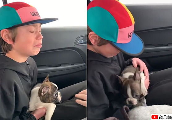 ついに閉鎖した元少年aホームページ 今 信者 を獲得した彼の不穏な動きとは 16年11月8日 エキサイトニュース ついに閉鎖した元少年aホームページ 今 信者 を獲得した彼の不穏な動きとは 16年11月8日 エキサイトニュース