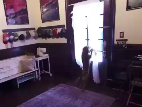 宇宙から帰還した宇宙飛行士が1年ぶりに愛犬と再会（アメリカ）