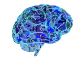 衝撃 四つん這いの不気味な人間型モンスター レイク が目撃される 白い体が森の中から カナダ 18年8月8日 エキサイトニュース