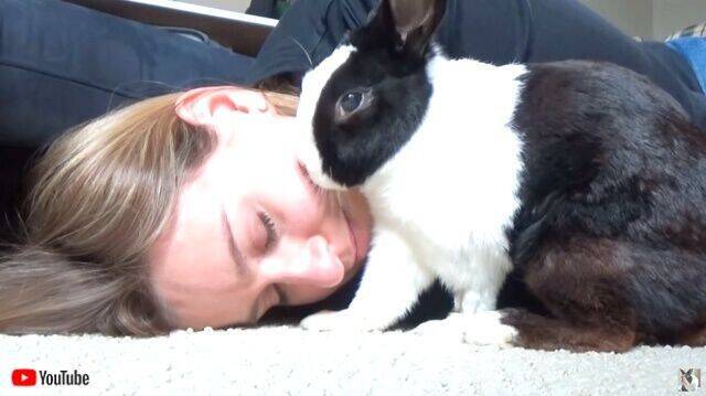 ウサギのくしゃみは可愛かった?耳元でハクションやられて飼い主さんビックリ