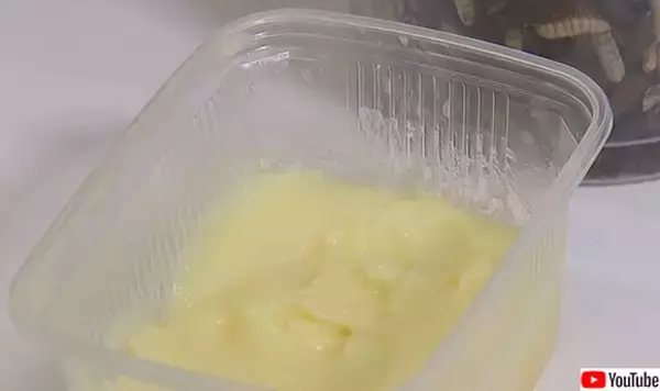 幼虫の脂肪を利用して作られた「昆虫バター」を開発中、そのお味は？（ベルギー）※昆虫出演中
