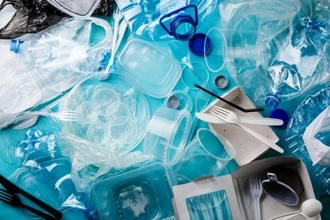プラスチックゴミ問題の救世主となるか？プラスチックだけを食べて生き延びられるワックスワーム（カナダ研究）