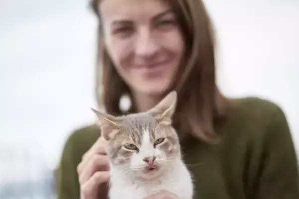 猫が飼い主にお尻を向けるのなぜ？実は飼い主への愛を表していた（米研究）