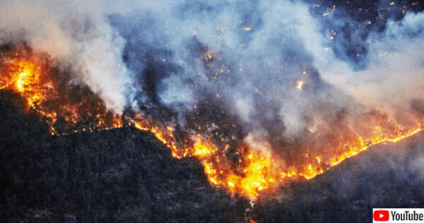 チェルノブイリの立入禁止区域で森林火災 放射性廃棄物保管施設に迫る 年4月16日 エキサイトニュース
