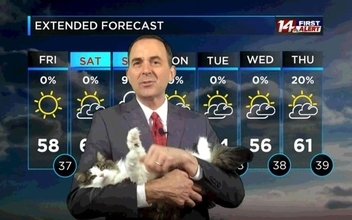 天気予報士が自宅からリモートワーク。放送を邪魔したのがきっかけで大人気となった「天気予報猫」（アメリカ）
