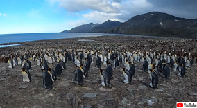 南国の楽園と勘違いして不法侵入したというディズニー島は1999年に閉鎖された廃墟島だった その内部を公開 年5月6日 エキサイトニュース