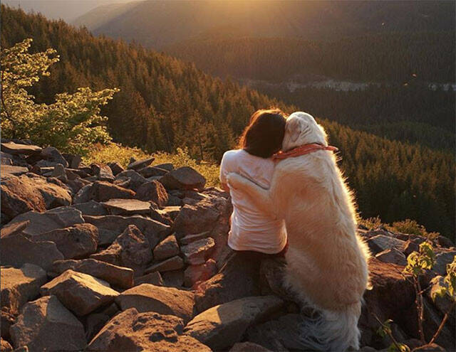 Ptsdで不安に押しつぶされそうになっている飼い主にいち早く気が付いた犬 そっと寄り添いぎゅっと抱きしめる 2020年5月27日 エキサイトニュース