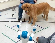 犬は人間だけでなくロボットの命令にも従うことが判明（米研究）